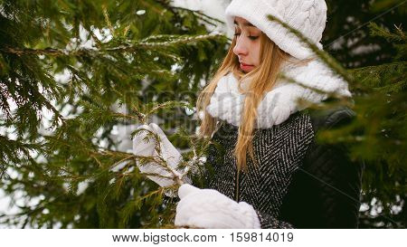 Young Woman In A Forest With Fir And Pine Trees On The Street, Hands Touch The Branches Of Trees, Co