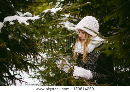 Young Woman In A Forest With Fir And Pine Trees On The Street, Hands Touch The Branches Of Trees, Co