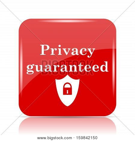 Privacy Guaranteed Icon