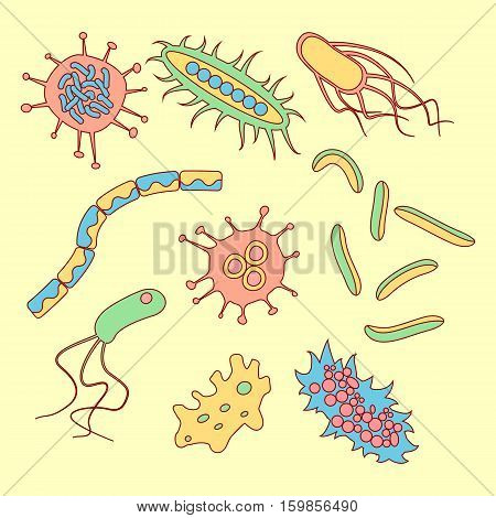 Different Bacteria Types