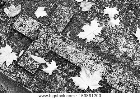 Old forgotten christian grave, stone carved cross covered with moss and autumn leaves. Black and white image.