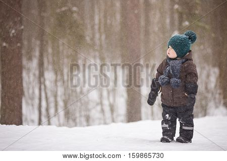 Portrait of adorable little toddler boy walking in the winter forest and having fun with snow. Child enjoying winter. Child watching falling snow outdoors. Winter Christmas and lifestyle concept.
