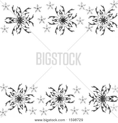 Fiori neri su sfondo bianco