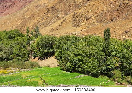 Moroccan village in the High Atlas mountains, Morocco, Africa