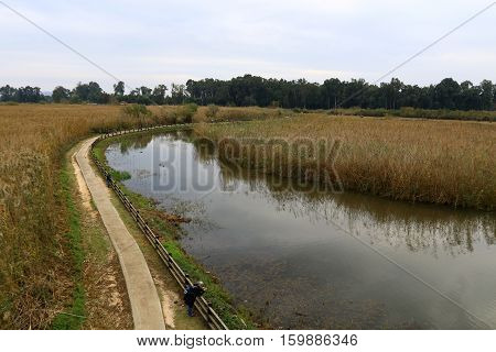 Hula Nature Reserve - a unique wildlife area, which is home to many animals, birds and fish.