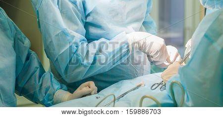 Surgical team performing cosmetic surgery in hospital operating room. Surgeon working on a patient. Breast augmentation enlargement enhancement at medical clinic. Mammaplasty