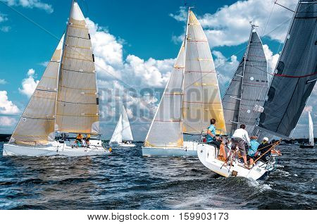 Sailing yacht race. Team athletes participating in the sailing competition