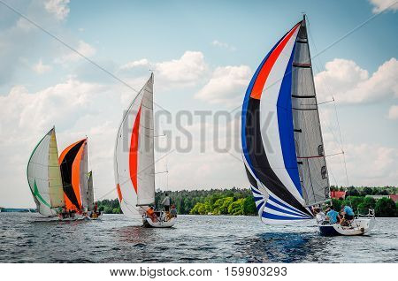 Sailing yacht race. Team athletes participating in the sailing competition