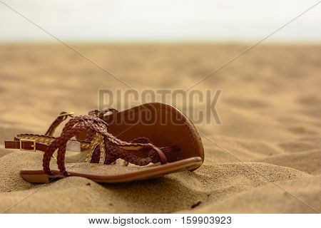 Brown leather women's sandles abandoned on the beach