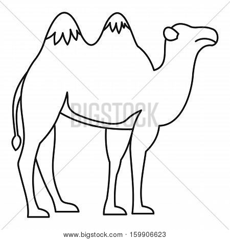 Camel icon. Outline illustration of camel vector icon for web