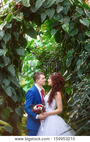 Wedding. Young happy bride and groom together in garden. Marriage concept