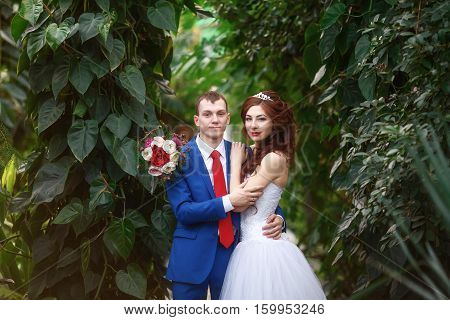 Wedding. Young happy bride and groom together in garden. Marriage concept