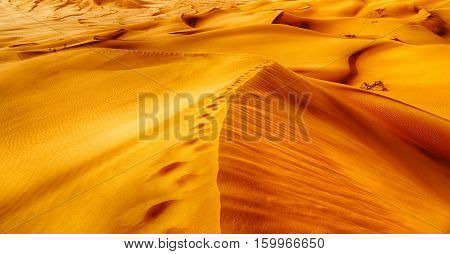 In Oman Old Desert  Rub Al Khali The Empty  Quarter And Outdoor  Sand Dune