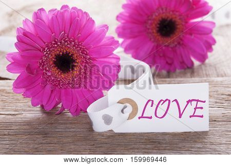 Label With English Text Love. Pink Spring Gerbera Blossom. Vintage, Rutic Or Aged Wooden Background. Card For Spring Greetings.
