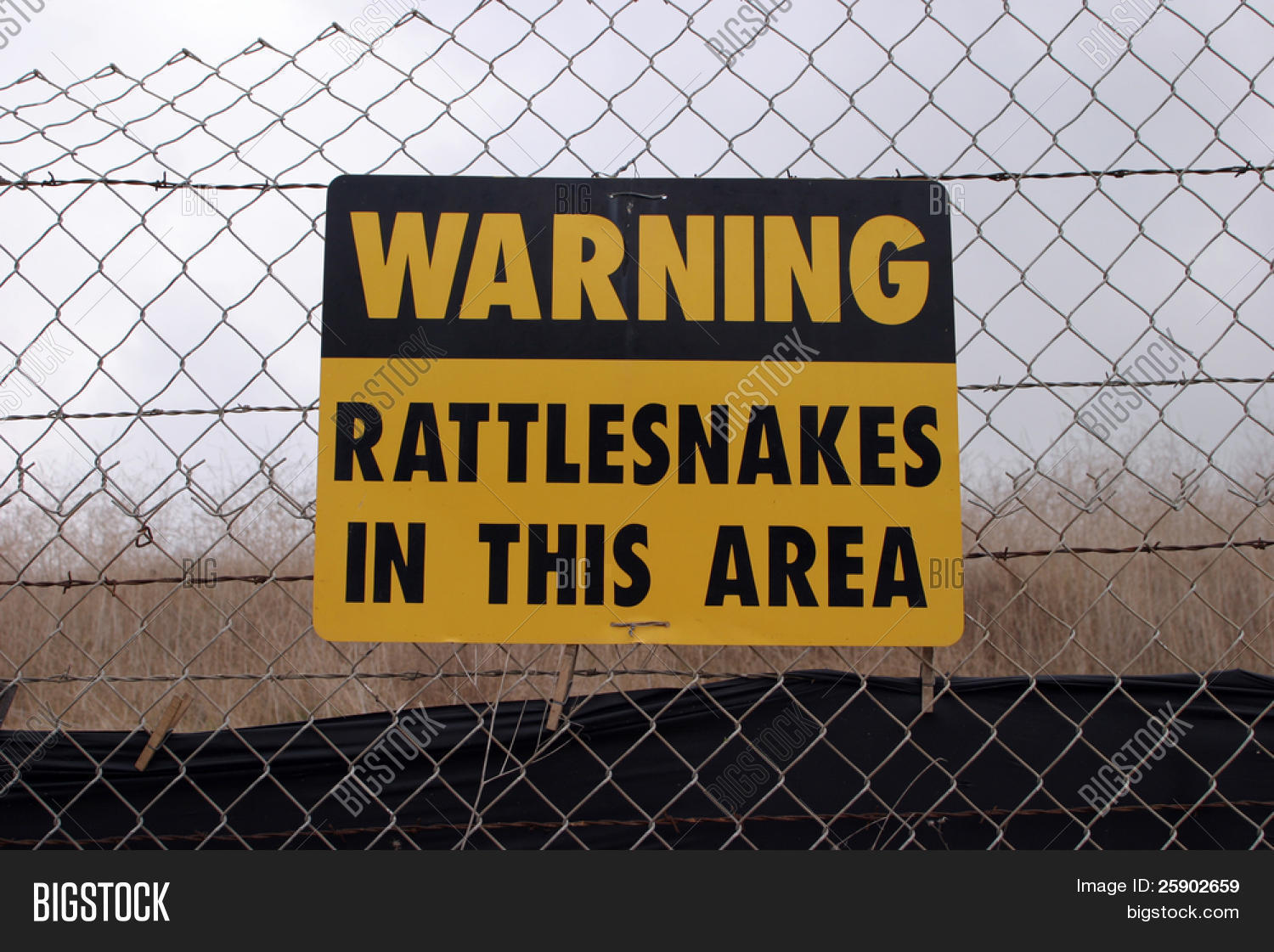 Warning RATTLESNAKES Image & Photo (Free Trial) Bigstock