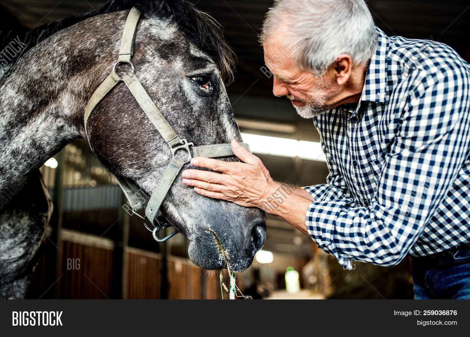 Senior Man Standing Image & Photo (Free Trial) Bigstock