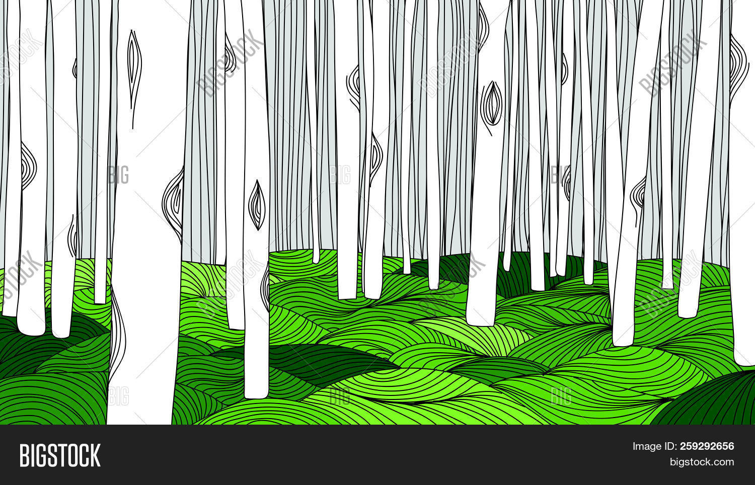 Forest Meadow Line Vector & Photo (Free Trial) Bigstock