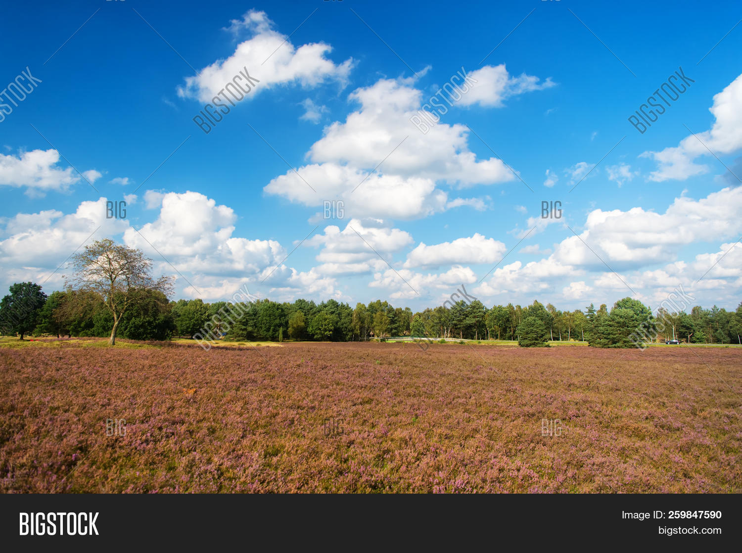 Landscape Idyllic Image & Photo (Free Trial) | Bigstock