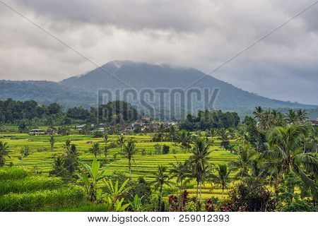 Beautiful Jatiluwih Rice Terraces Against The Background Of Famous Volcanoes In Bali, Indonesia