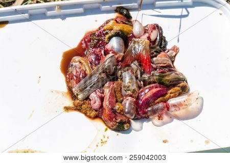 Fish Guts Offal On White. Selective Focus
