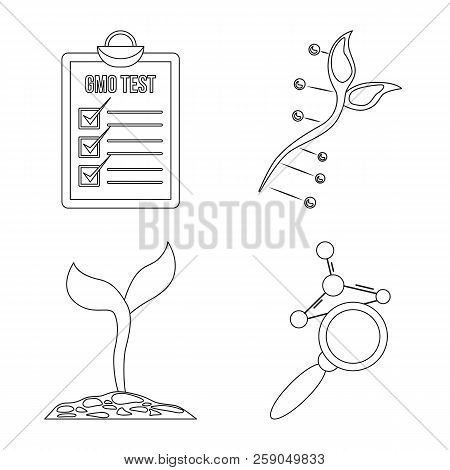 Vector Design Of  And  Symbol. Collection Of  And  Vector Icon For Stock.