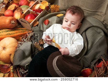 autumn concept - child boy lie on yellow leaves with fruits and vegatbles, red apples and pumpkins