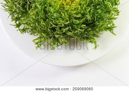 Top View Of Head Of Frisee Lettuce In A Bowl, Copy Space, Isolated On White, Horizontal Aspect