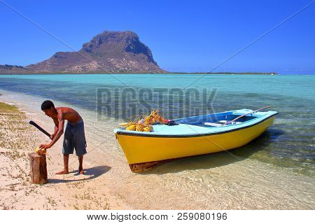 Benitiers Island, Mauritius - November 23, 2012: A Coconut Seller With His Colorful Boat On Benitier