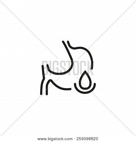 Human Stomach And Drop Line Icon. Menstrual, Problem, Water. Pregnancy Concept. Vector Illustration 