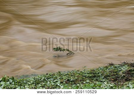Readdies River Rushes Past Bushes In North Wilkesboro After Flooding Rains From Hurricane Florence I