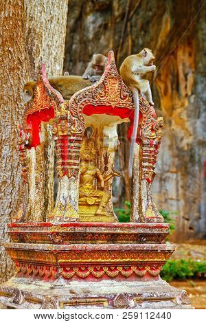 Monkeys Have Rest On A Brahma Spirit House (san Phra Brahm) Thailand