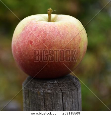 Beautiful And Delicious Single Redish Apple On Top Of A Pole