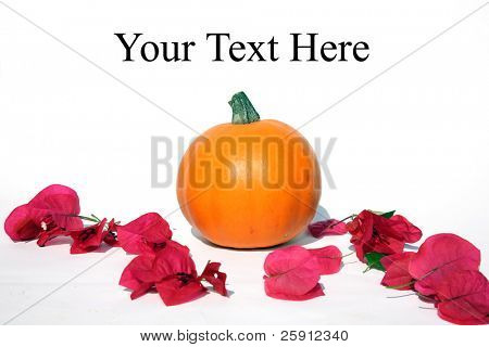 drie kleine pompoenen met Bougainvillea bloemen, voor halloween of thanksgiving op wit met gemakkelijk 