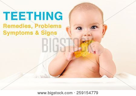 Cute Baby Infant Kid Biting Sitting In Highchair And Chewing Yellow Eething Toy Copy Space Bright Mi