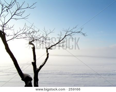 Paysage d'hiver