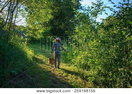 Young Girl Walking On A Path Through Green Woods Carrying A Birchbark Basket
