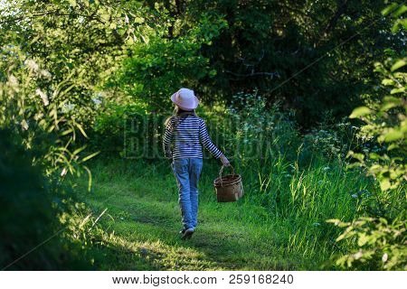 Young Girl Walking On A Path Through Green Woods Carrying A Birchbark Basket