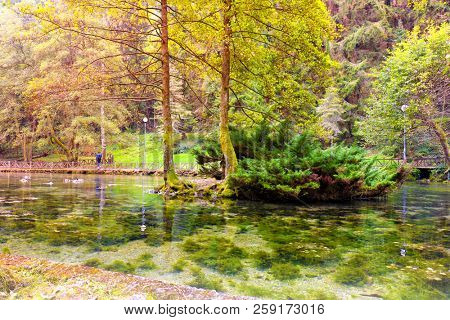 Beautiful forest landscape . Bosnia and Herzegovina, public park Vrelo Bosne, near Sarajevo, river Bosna