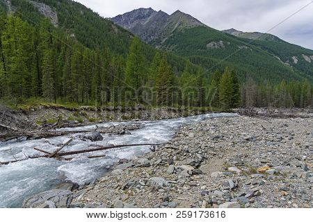 Altai Mountains. The Shawla River Above The Estuary Of The Yeshtykol River. August. Siberia, Russia.