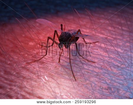3d rendered medically accurate illustration of a mosquito on skin
