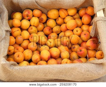 Box Of Apricots For Sale At Local Fruit Maket