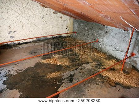 Damp Attic With Serious Problems Of Moisture And Seepage From The Roof Due To The Shabby Tiles