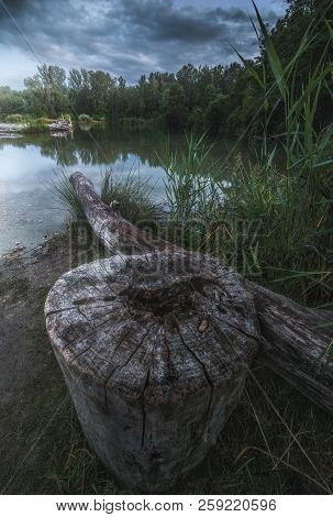 Night Landscape With The Tree Stump By The Lake Lit By The Shining Moon