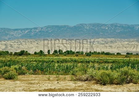 Naryn River Valley