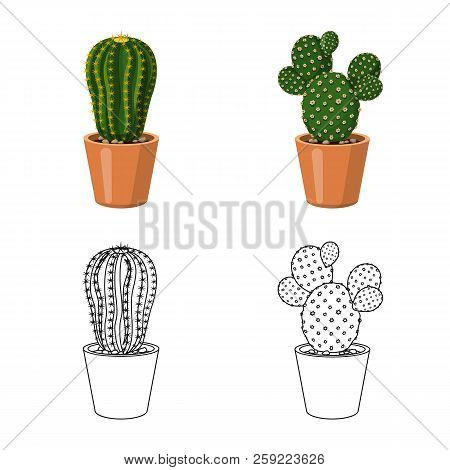 Vector Illustration Of Cactus And Pot Symbol. Set Of Cactus And Cacti Vector Icon For Stock.