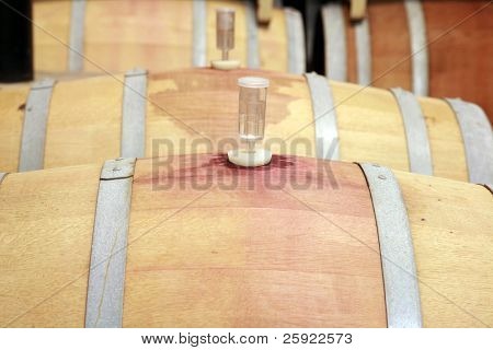 botti di vini all'interno di una cantina moderna
