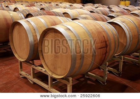 botti di vino all'interno di una cantina moderna