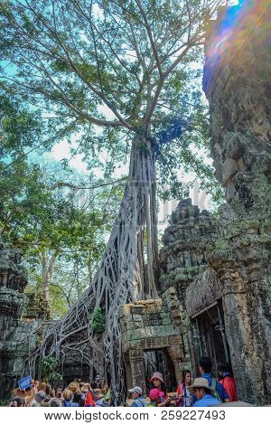 Siemreap/cambodia - February 03 2016:giant Tree And  Blue Sky With Tourist In Ta Phom Temple Siem Re