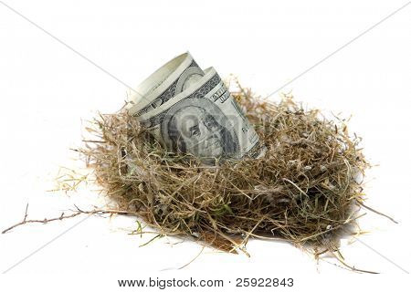 Concepto de ahorros financiero $100,00 (billetes de cien dólares) dentro de un huevo de aves dentro de un nido de pájaro