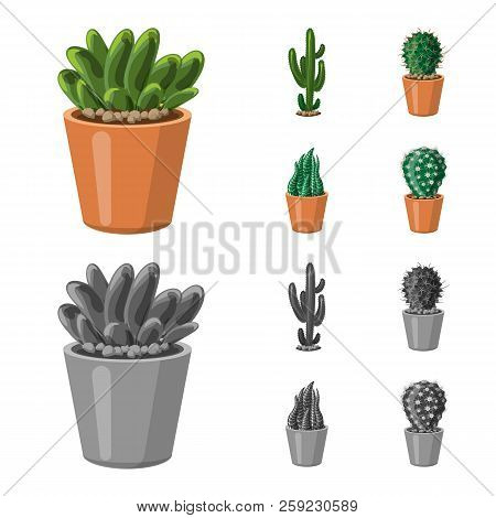Isolated Object Of Cactus And Pot Icon. Set Of Cactus And Cacti Vector Icon For Stock.